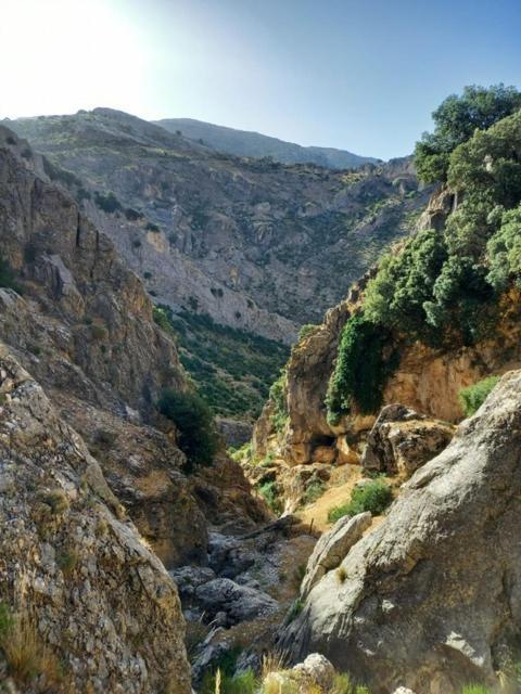 Cave Holidays Andalucia Los Carriones Kültér fotó